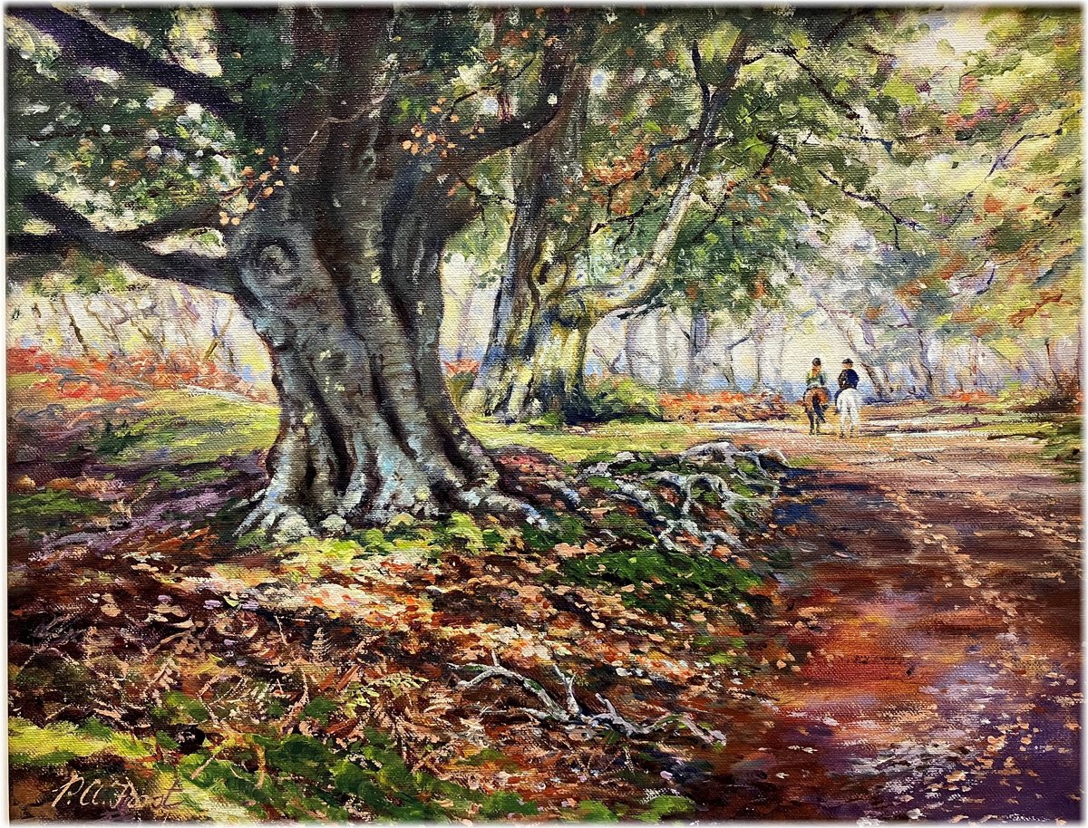 Ancient Beech, New Forest by Peter Frost