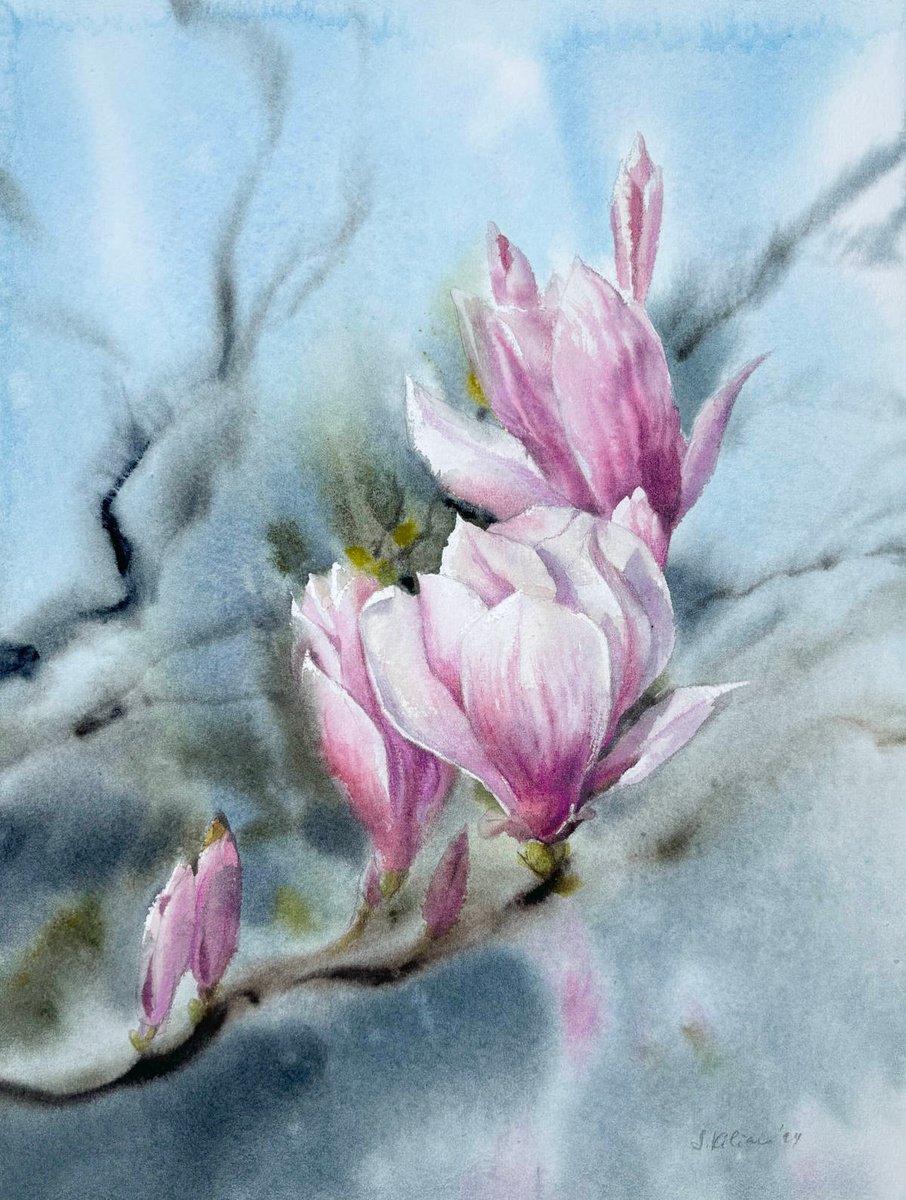 Magnolia Flowers by Svetlana Kilian