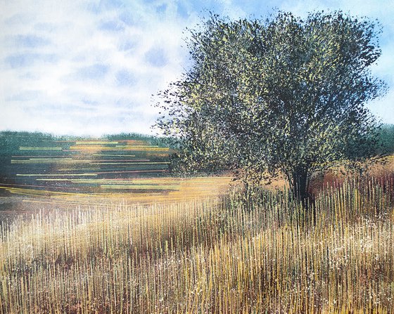 Meadow In Late Summer 2