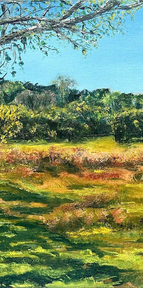 Broadley (view at Brownhills on the left) by Kamil Woj