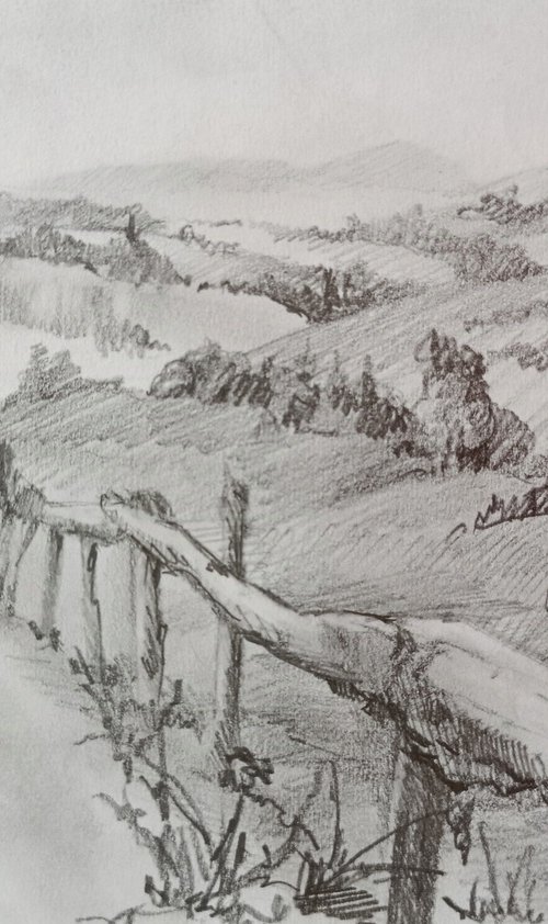 Carpathians in Ukraine by Tetiana Borys