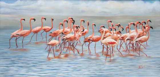 Flamingos