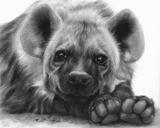Adorable Hyena