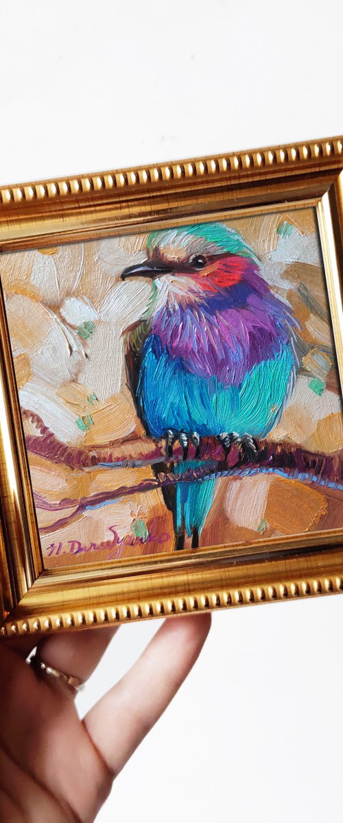 Colorful small bird by Nataly Derevyanko