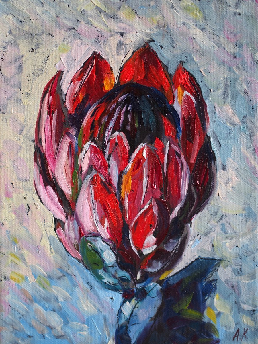 Red protea flower by Alfia Koral