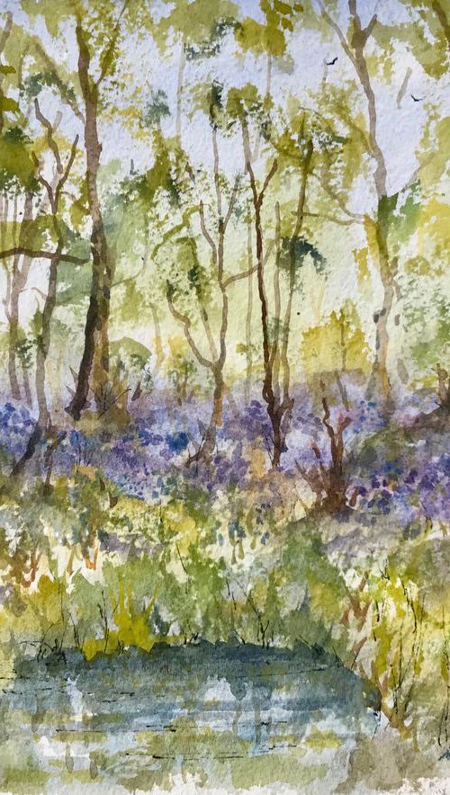 Bluebells in the Woods in Kent by Brian Tucker