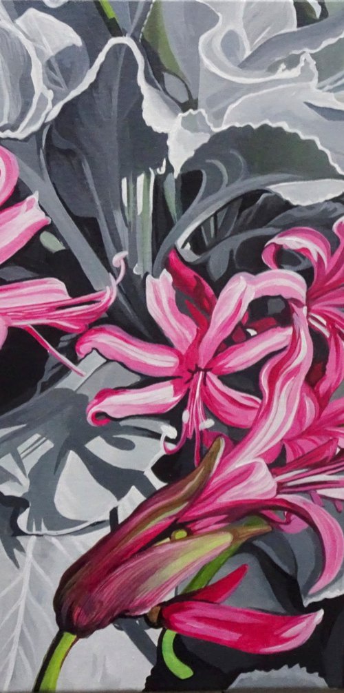 Floral Nerines And Senecio by Joseph Lynch