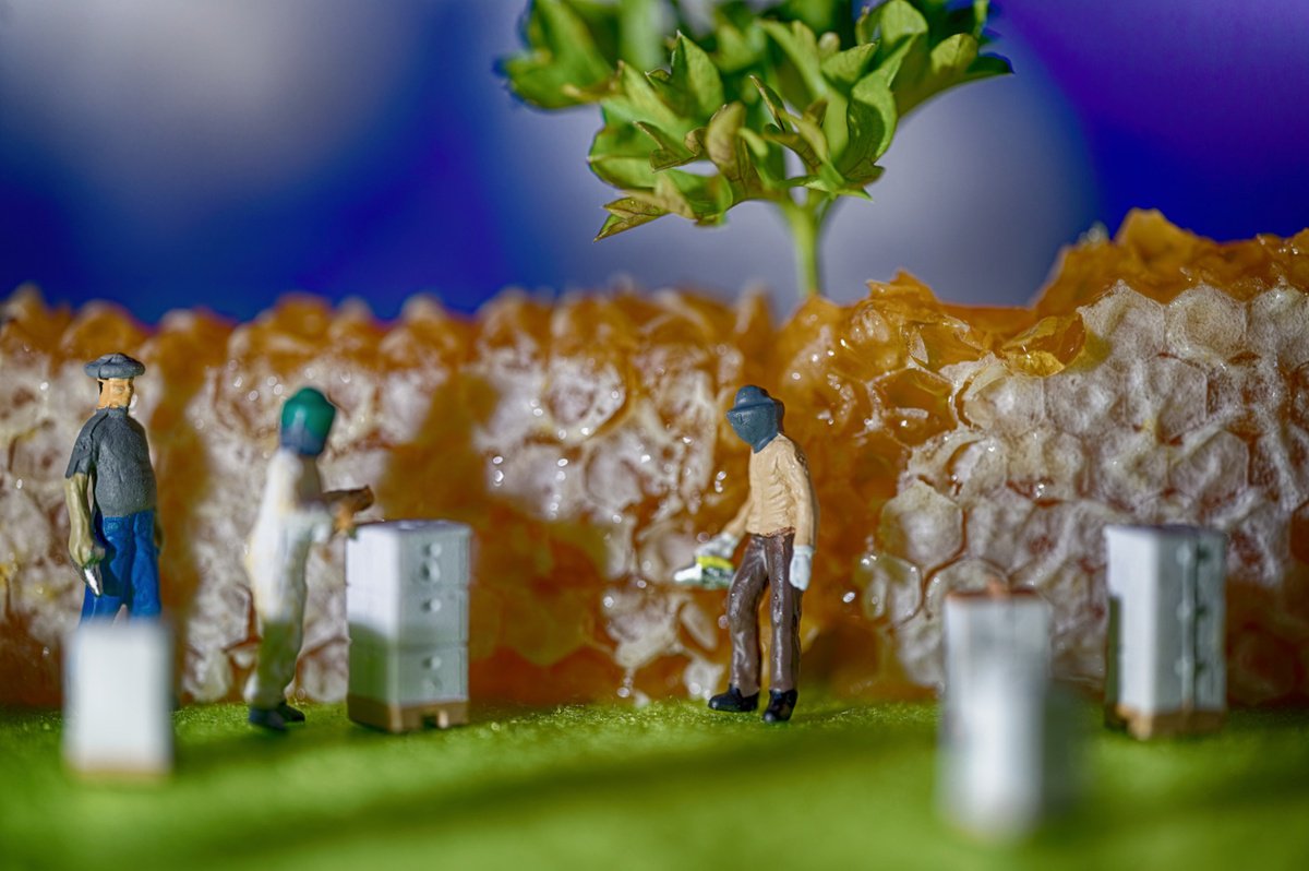 Organic Abstract Photograph By Marc Ehrenbold, 40 X 30", Sweet Honey Harvest, Original Artwork