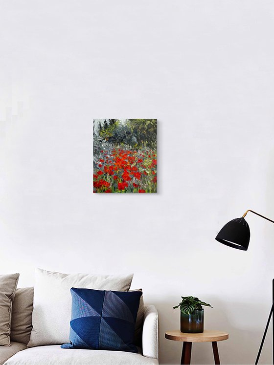 Poppies on grey background