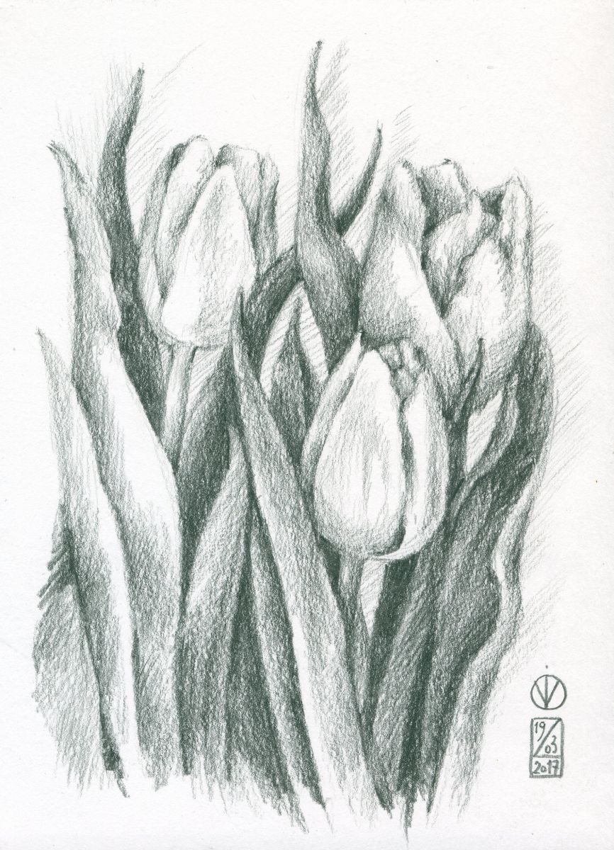 Three Tulips by Vio Valova