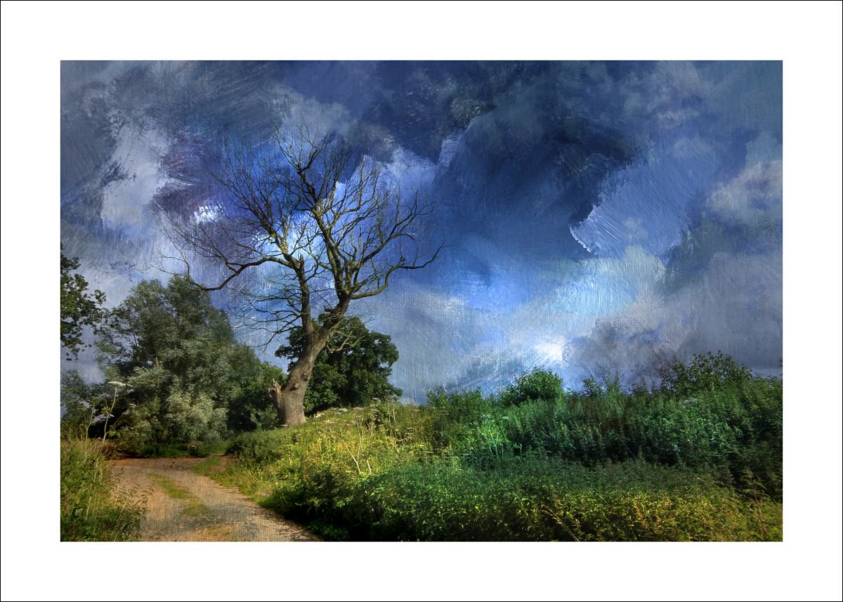 Tree & Painted Sky by Martin  Fry