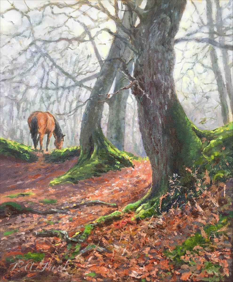 Oaks at Vinney Ridge by Peter Frost
