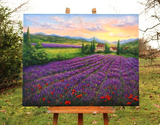 Purple lavender field