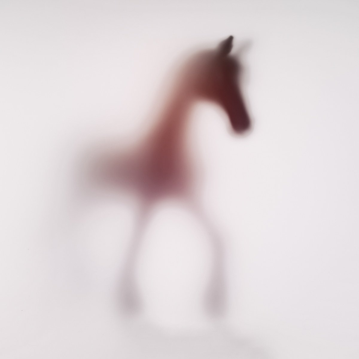 Abstract Animal Photograph By Sven Pfrommer, 39 X 39", Wild Lens - Horse Xvii, Original Artwork