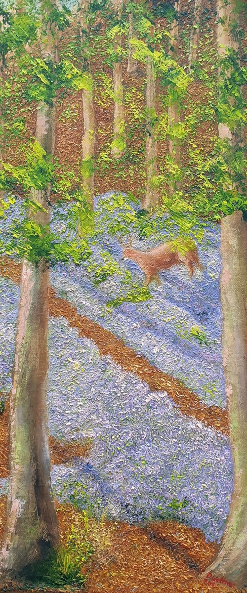 Beeches and Bluebells by David Wettner