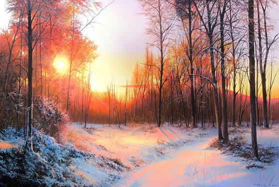 Sunlit Winter Path