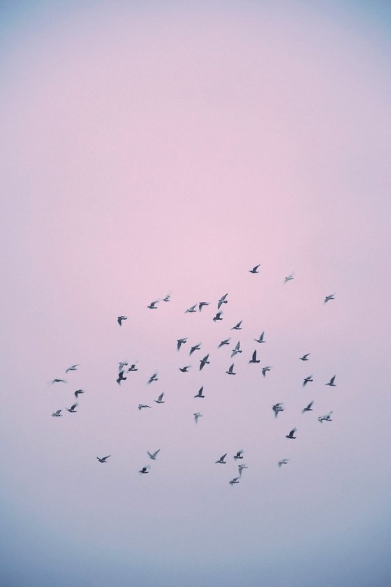Early Spring