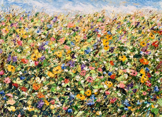 Blooming field