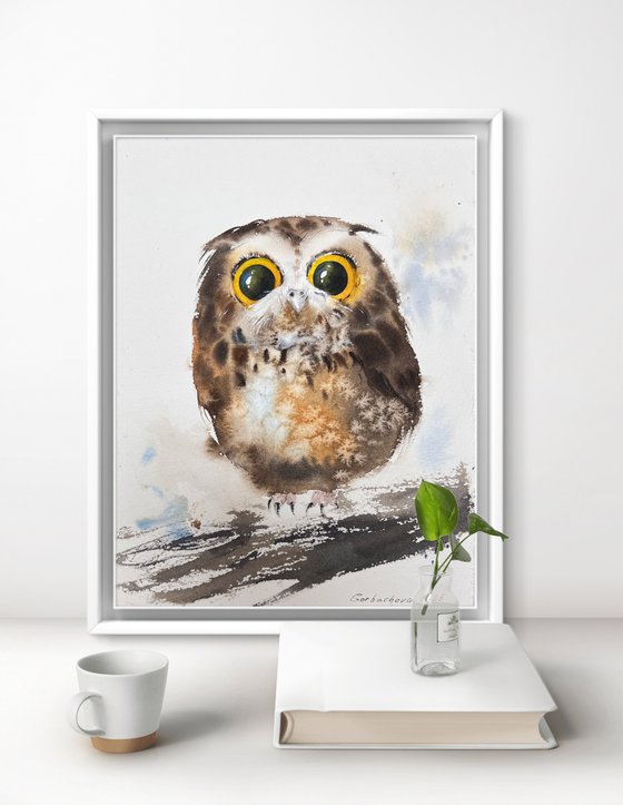 Amber-Eyed Owlet