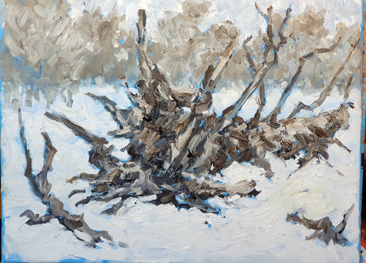 Dead trees in winter 5 by Colin Ross Jack
