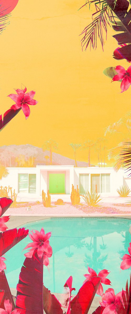 Cactus Hills by Nadia Attura