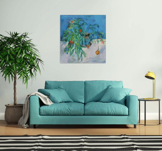 Schlumbergera. Christmas Cactus