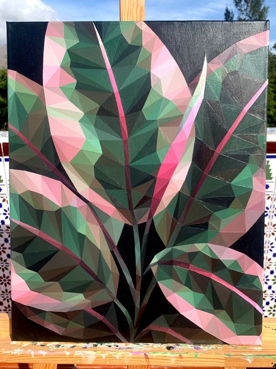 FICUS LEAVES