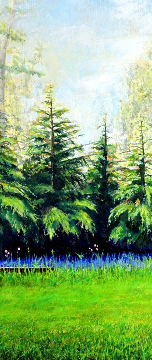 Five Evergreens 2 by JON PAUL WILSON