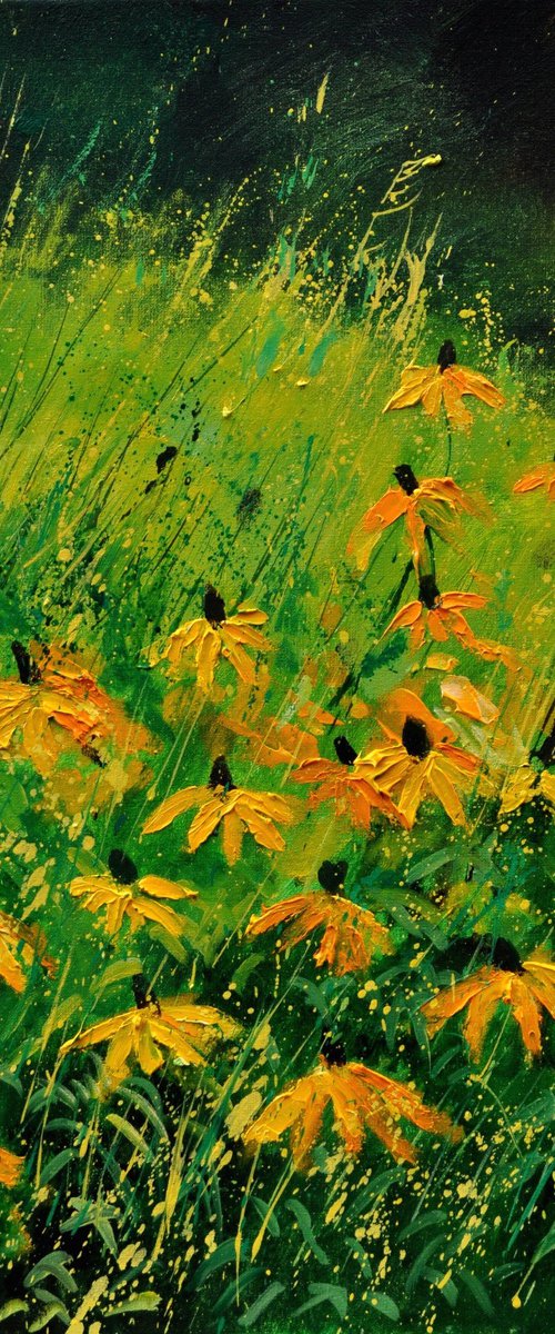 Yellow rudbeckias   -6723 by Pol Henry Ledent