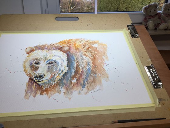 Grizzly portrait