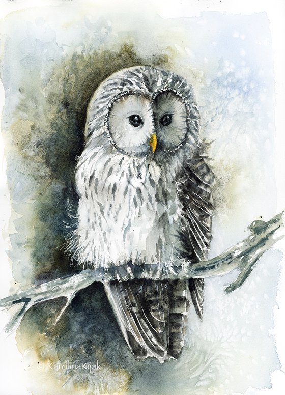 Ural Owl, wildlife, birds watercolours