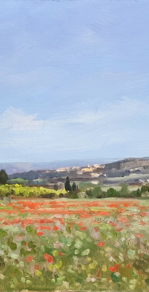 Poppy Field in the Luberon by Pascal Giroud