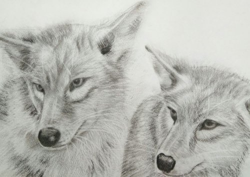 Сouple of wolves by Yulia Berseneva