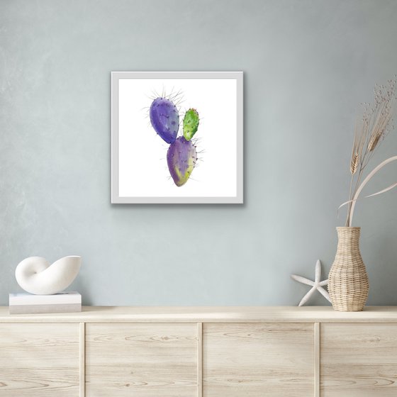 Opuntia. A series of original watercolour artwork.