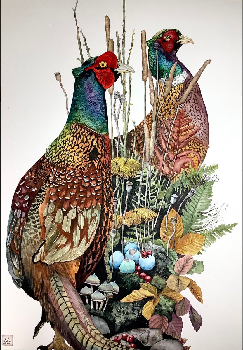 Pheasants by Lisa Lennon