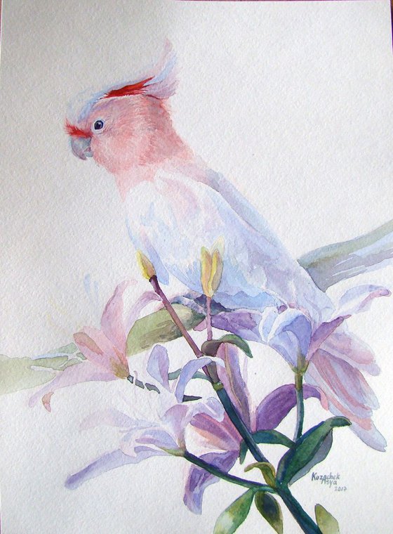 Pink Parrot near the lilies. Original watercolor.