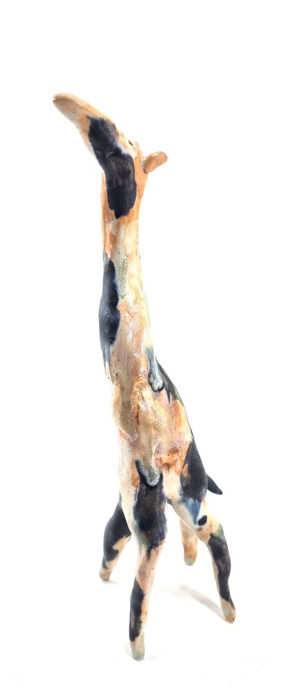 GIRAFFE XII