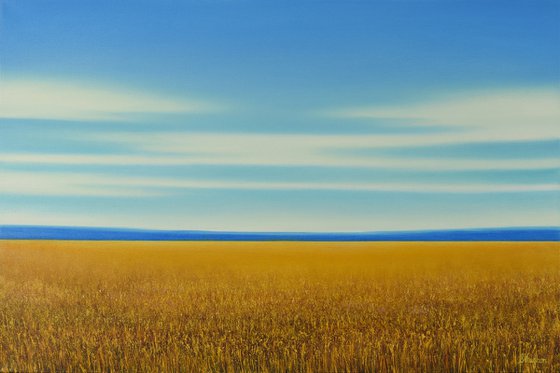 Golden Glow - Blue Sky Gold Field Landscape