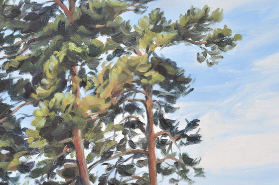 Summer light, Velay Mountains