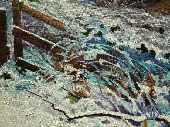 Winter Lagan Meadows