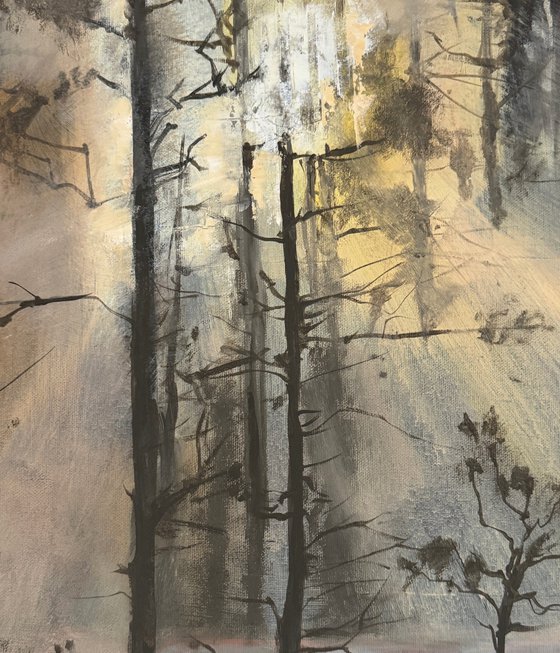 First Light