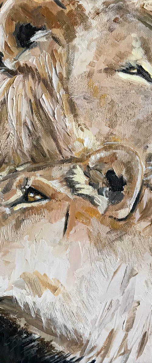 Animal painting Lion and Lioness impasto art 30x30cm by Leysan Khasanova