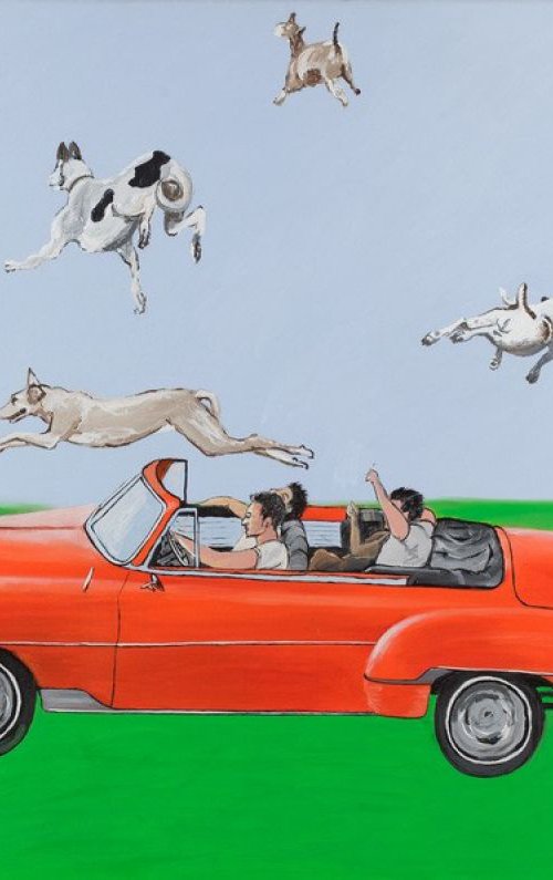 Skiladicar by Mathew Halpin