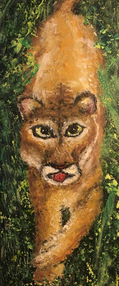 Big Cypress Panther by Robbie Potter