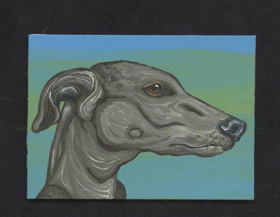 ACEO ATC Original Miniature Painting  Greyhound Whippet Pet Dog Art-Carla Smale