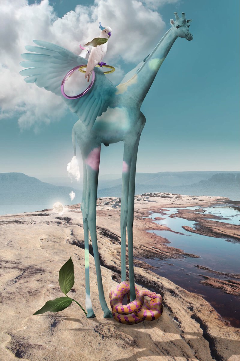 Pegasus, Giraffe Style by Vanessa Stefanova