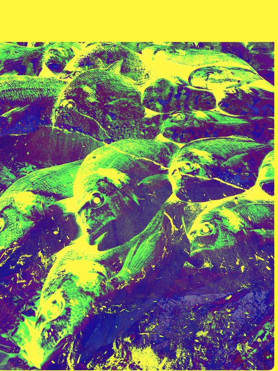 Digital collage Colorful Fish