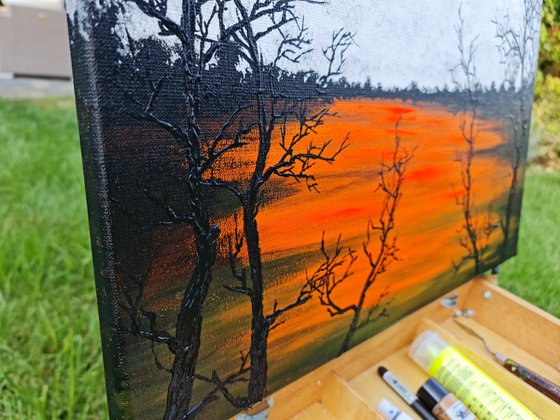 Sun in the lake 6