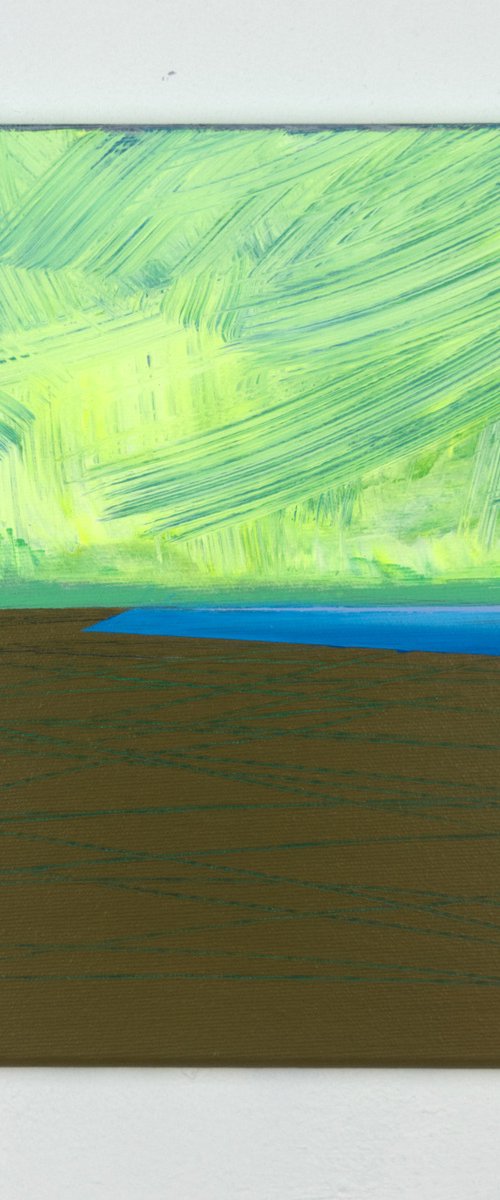 Area 17 by Katrin Roth