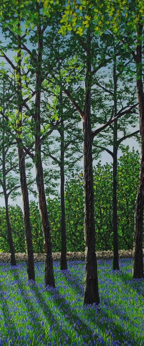 Spring In The Woods by Hazel Thomson